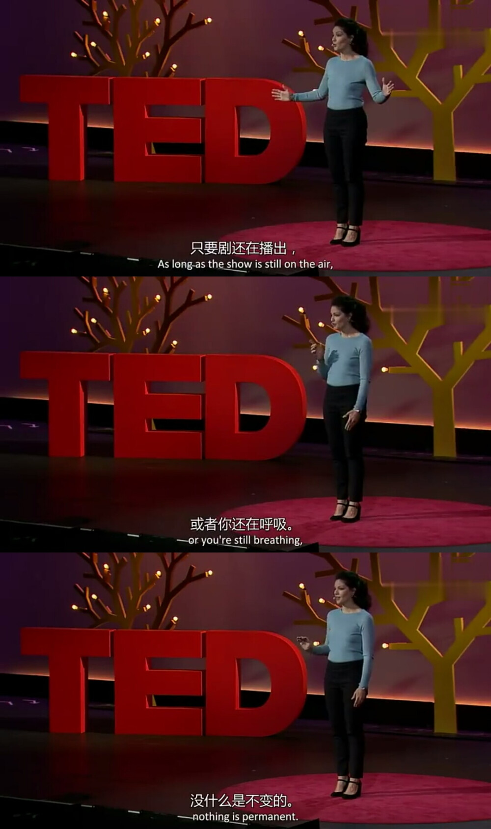 TED演讲