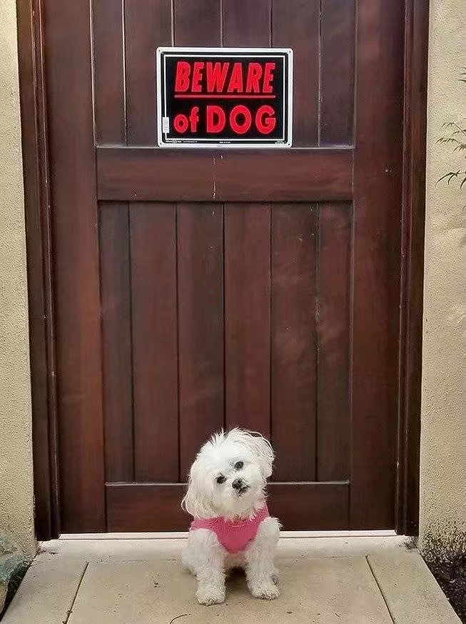 看了一下各个国家晒的“猛犬注意”