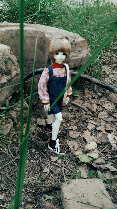 bjd