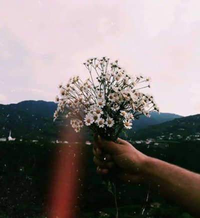 花开花谢花飘零，人来人离人远行。