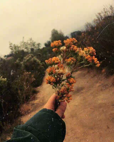 花开花谢花飘零，人来人离人远行。