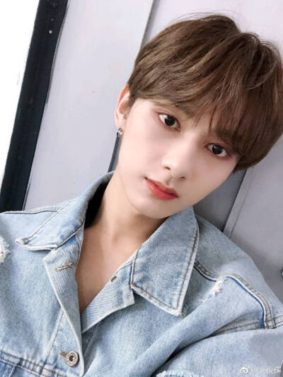 『SEVENTEEN』 Jun 文俊辉 中国line 美男子 猫男子