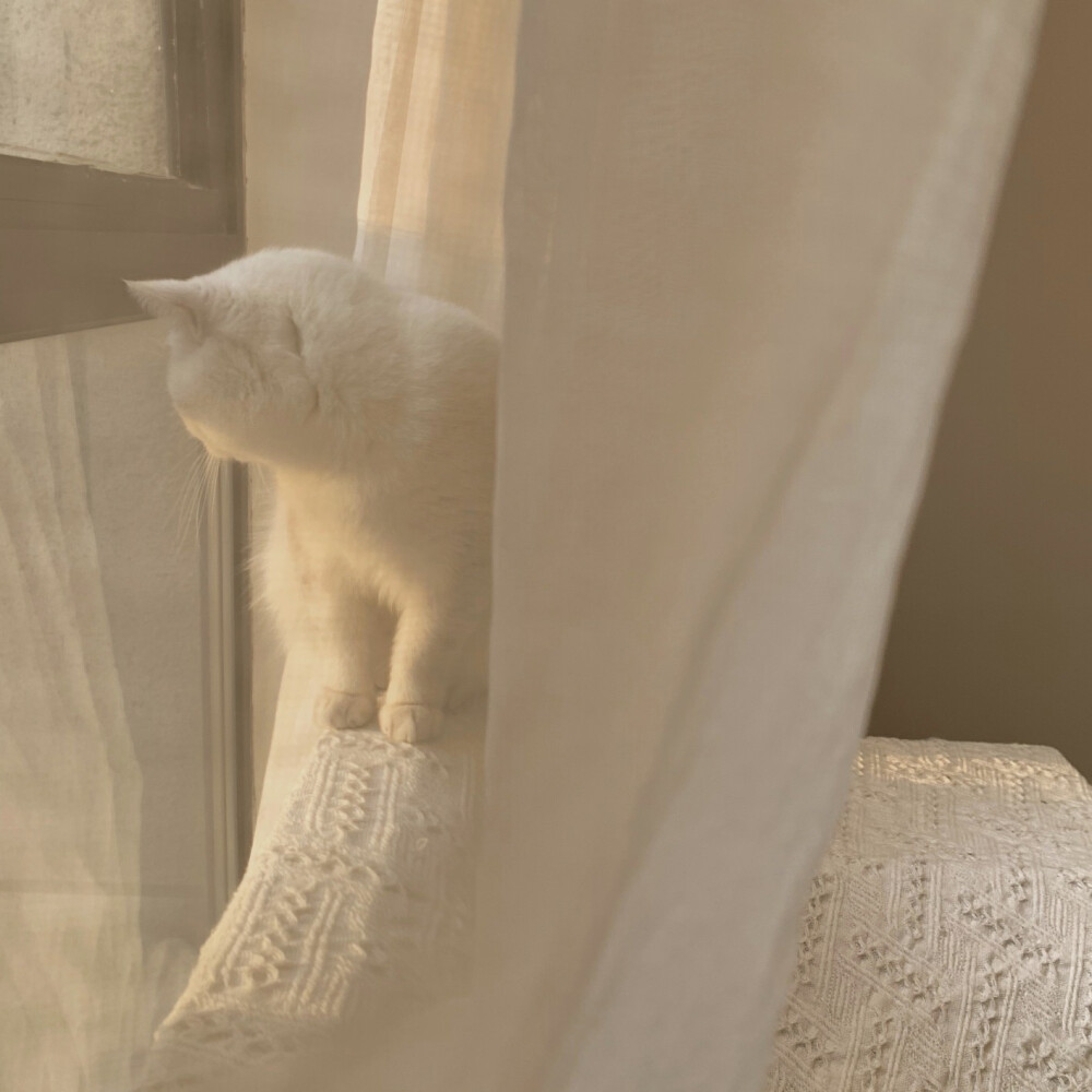 朋友圈ins半屏名片空间通用背景潮图