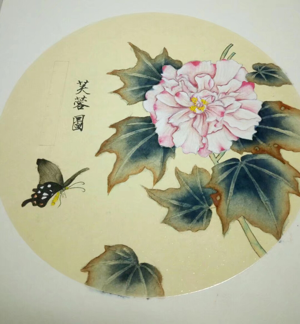 国画（三）:
芙蓉图