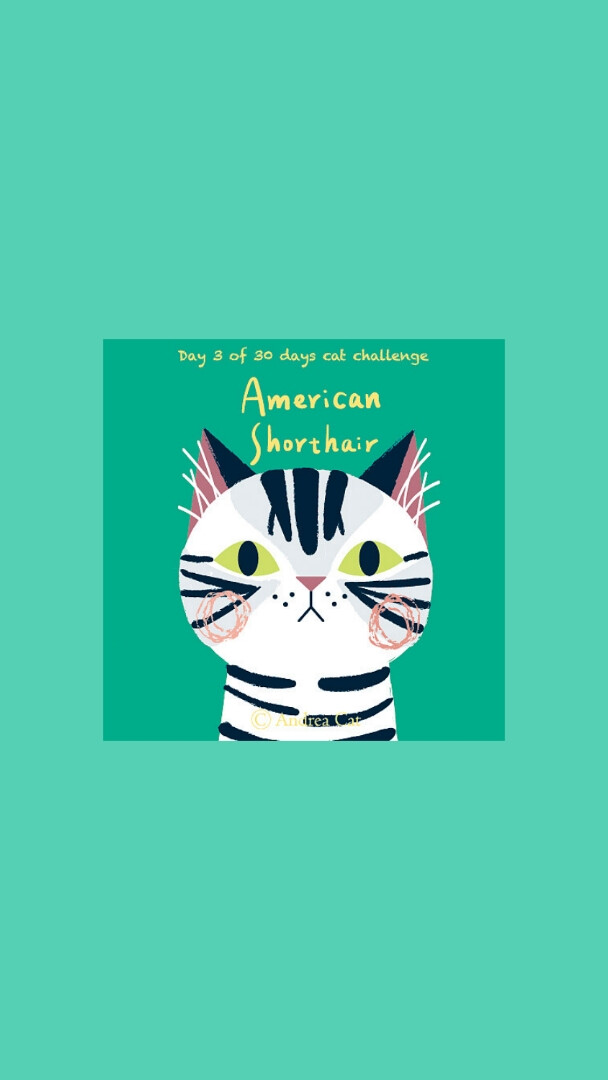 绿色壁纸|自制|美图秀秀