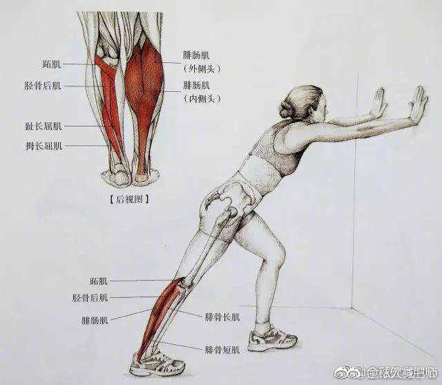 小腿粗又硬 送你最全面最清晰的小腿拉伸大法。