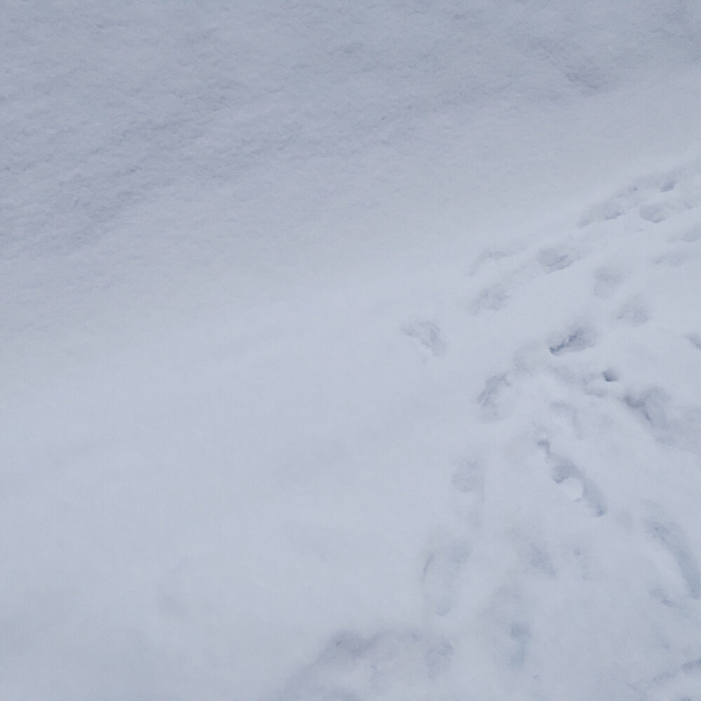 这场大雪时
我还拥有你