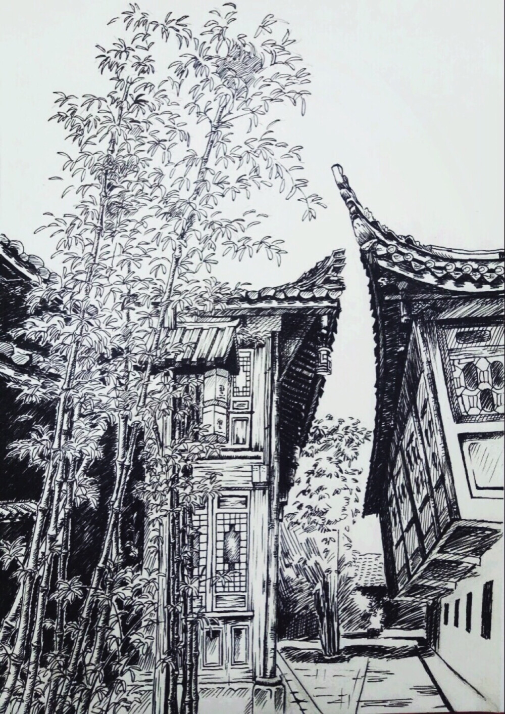 黑白 线描 风景写生 速写