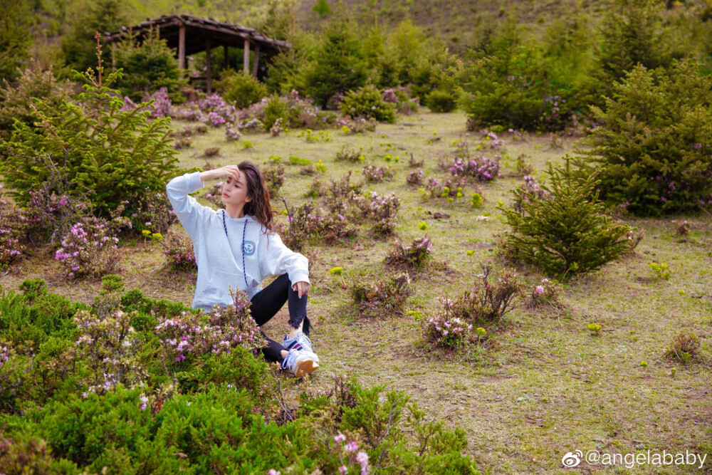 喜欢baby身上这件红色的毛衣，也想去旅游。