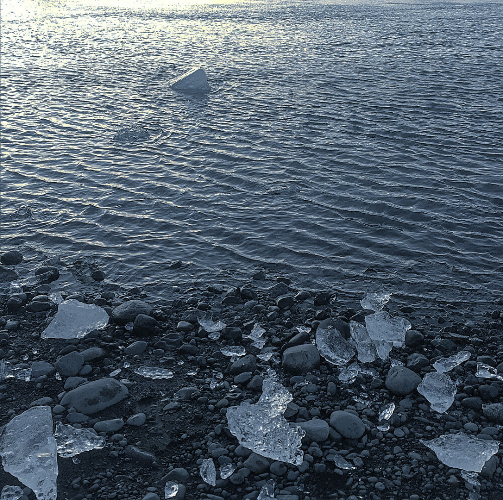 你是我梦里细碎的星✨