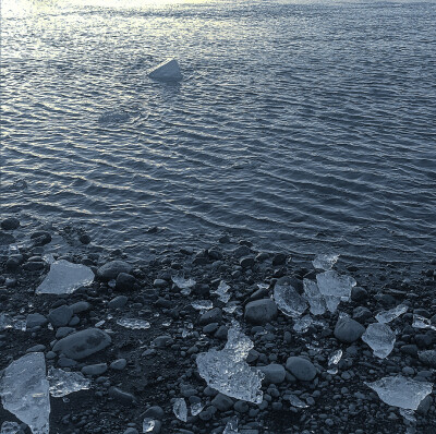 你是我梦里细碎的星✨