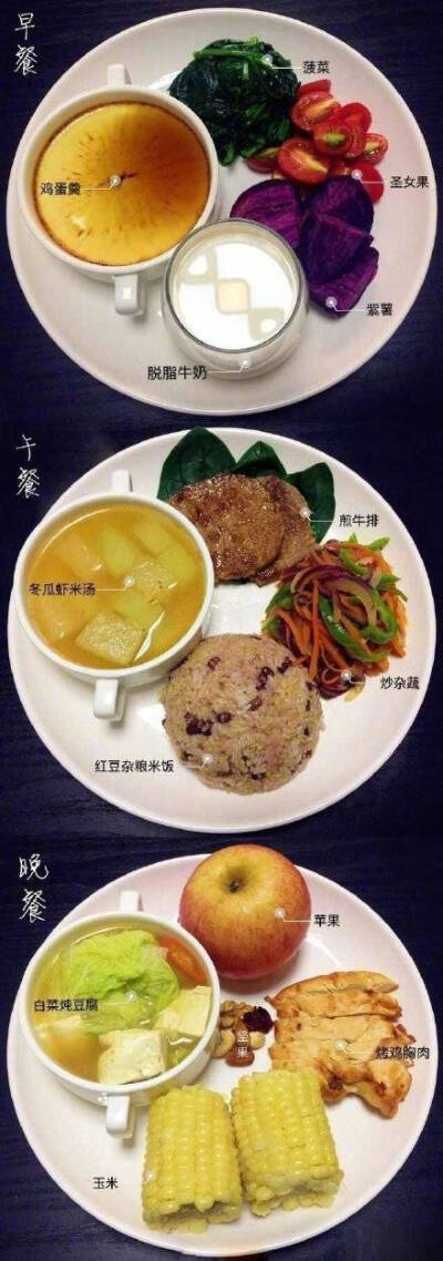 减脂餐