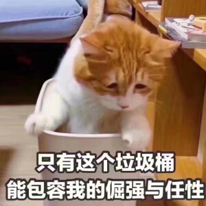 表情包