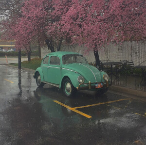 花嫁学校3•5号店