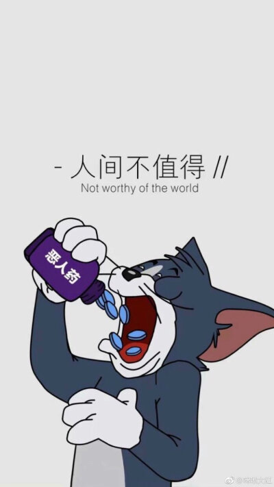 猫和老鼠 汤姆猫壁纸