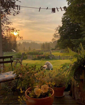 美丽的世界 遥远的梦想