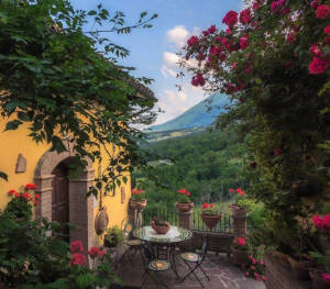 美丽的世界 遥远的梦想