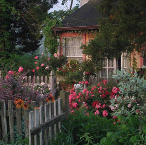 美丽的世界 遥远的梦想