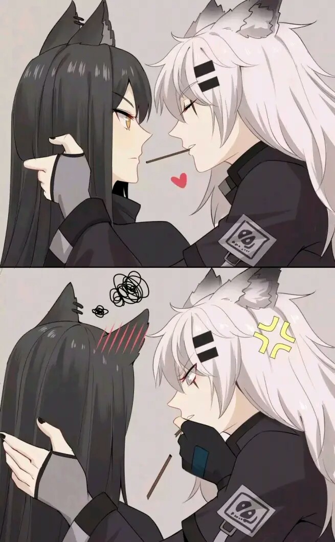 德克萨斯和拉普兰德29612729ω61292729