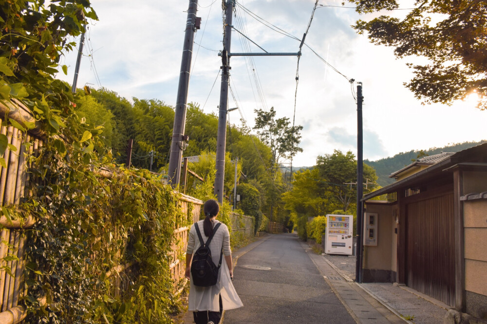 日本岚山，竹林和晚霞。