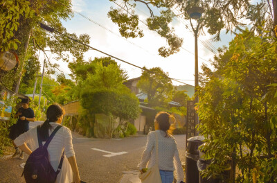 日本岚山，竹林和晚霞。