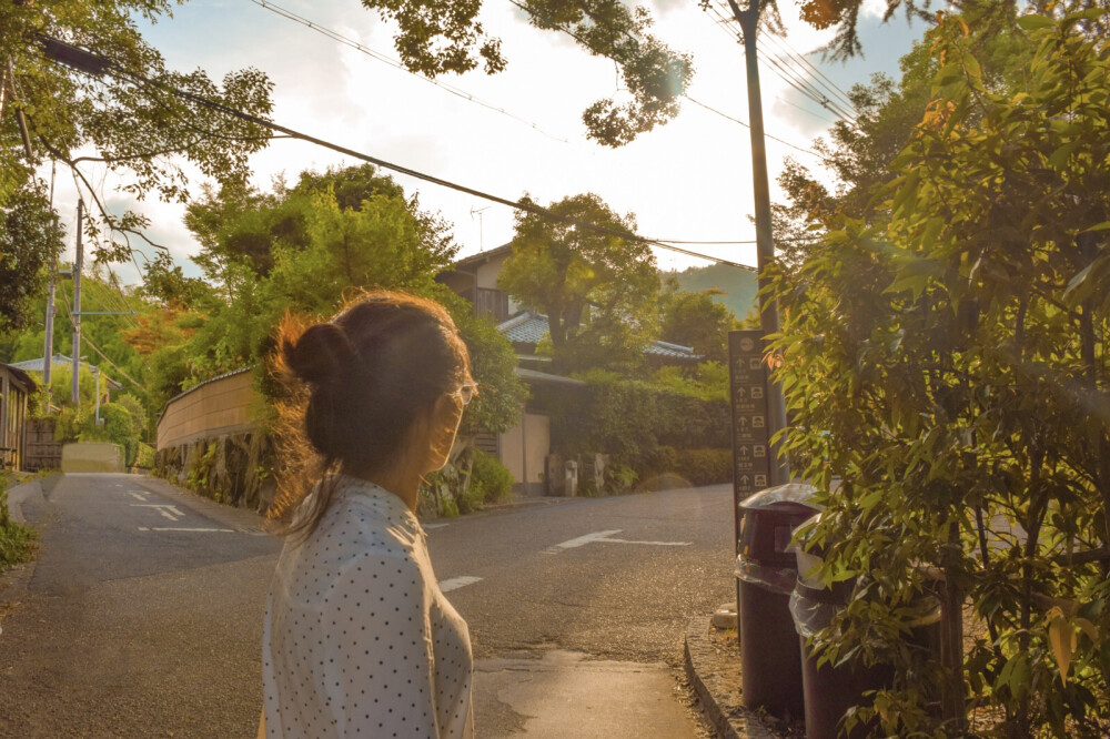 日本岚山，竹林和晚霞。