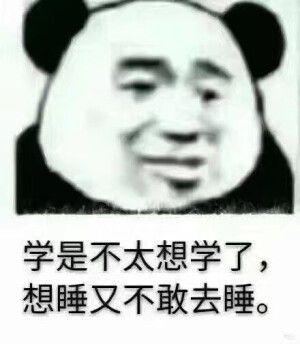 表情包
