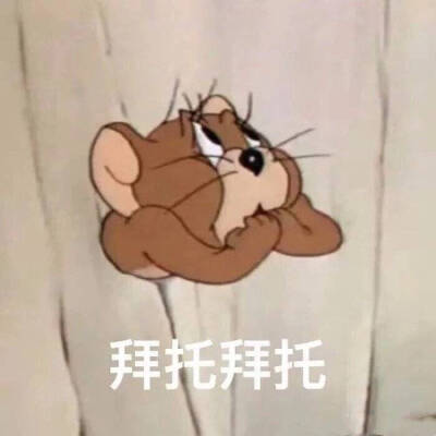 汤姆和杰瑞