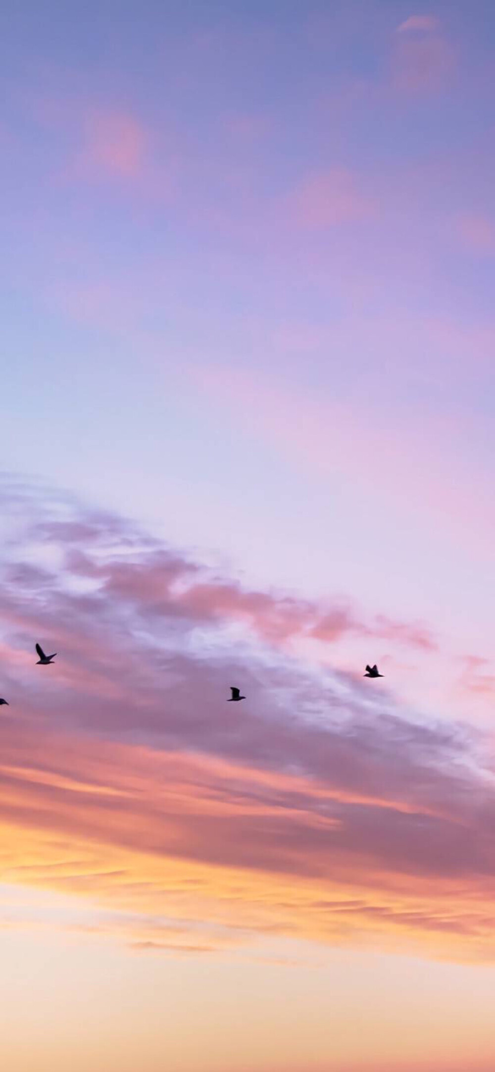 天空和海