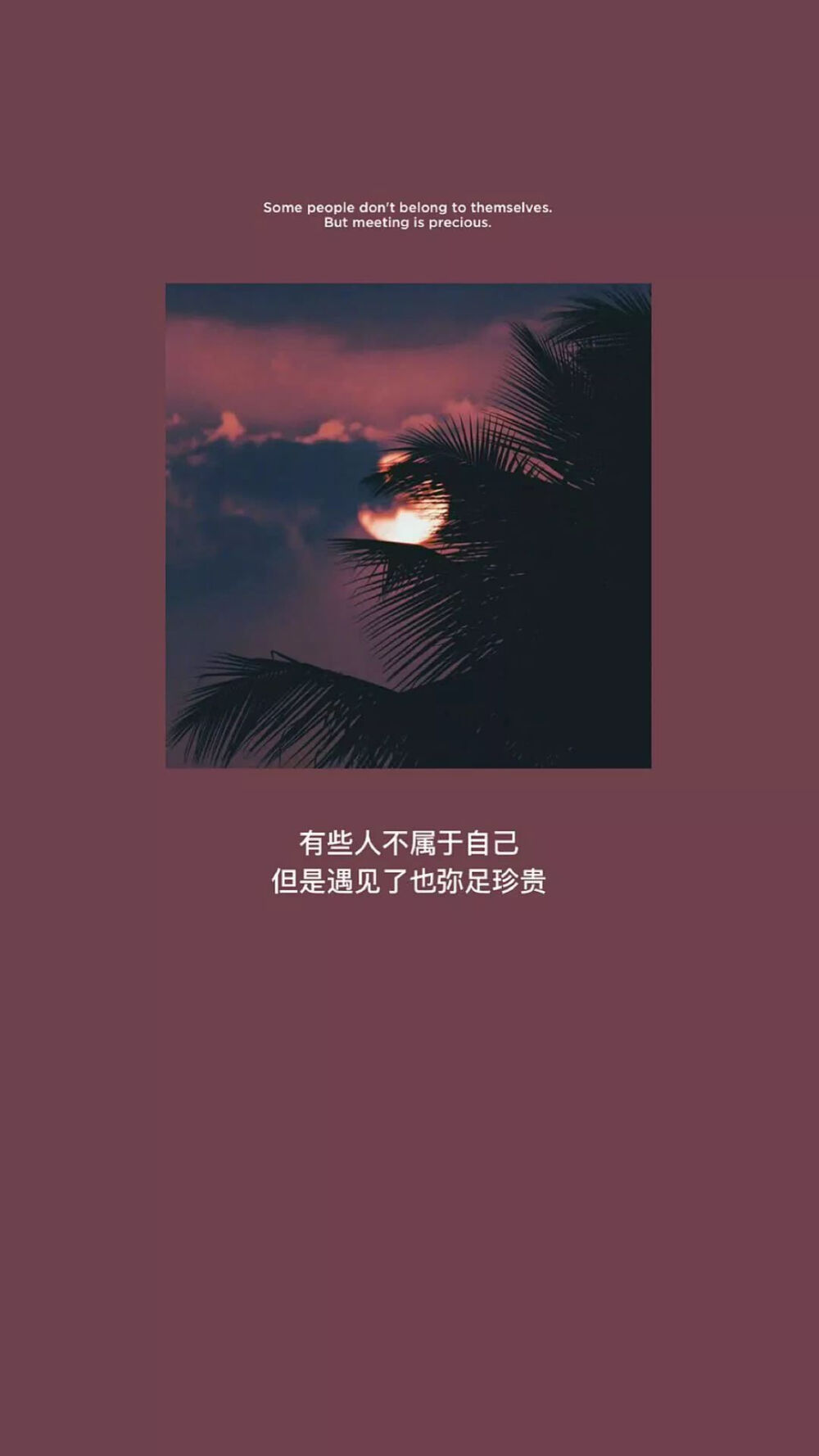 壁纸