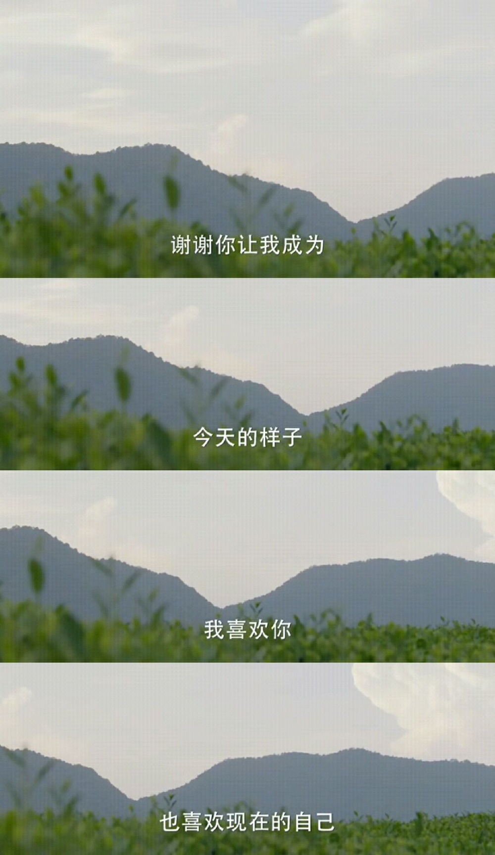 《我只喜欢你》