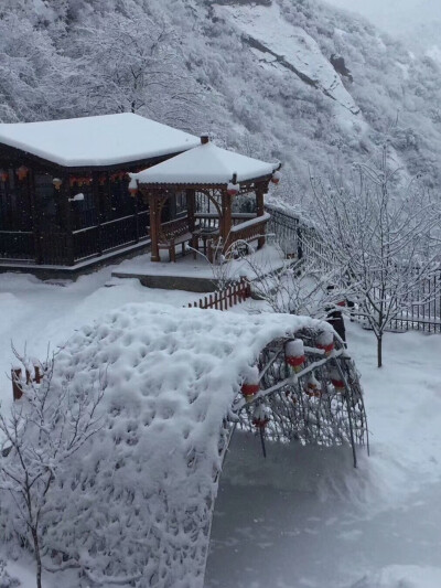 终年雪色郁郁晴