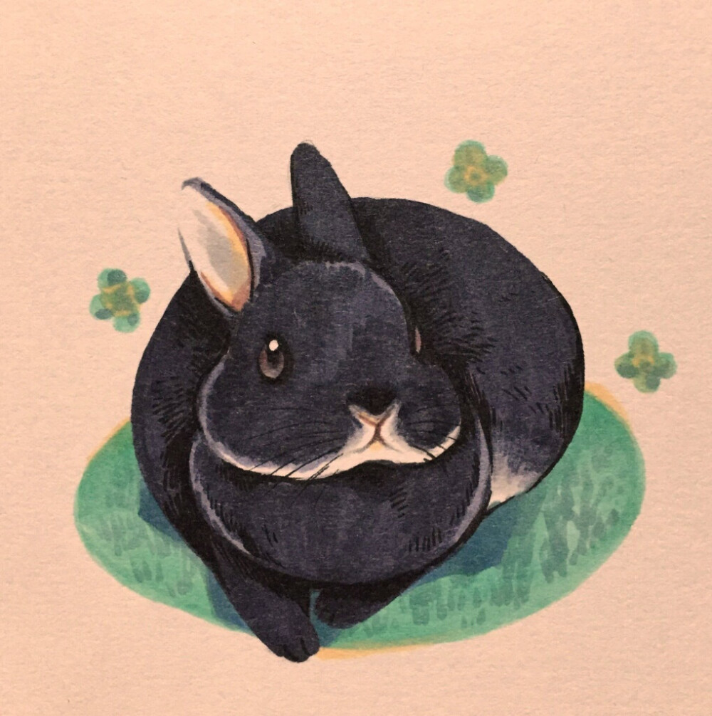 画师：井口病院