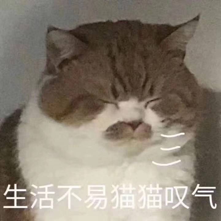 哈哈哈沙雕
