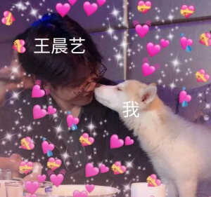 你从没辜负我们