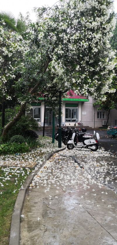 雨后 证明我大学多废的被忘记的数学常识 数分老师 对比 不愿意修图也不会 反正浑浑噩噩，不如去当个兵好好修整一下现在的自己