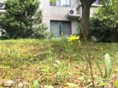 2019.5.31。匆匆五月