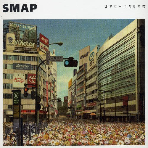 【世界に一つだけの花】
SMAP