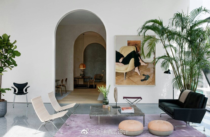 客厅：白色墙壁 热带阔叶植物 紫罗兰色布料