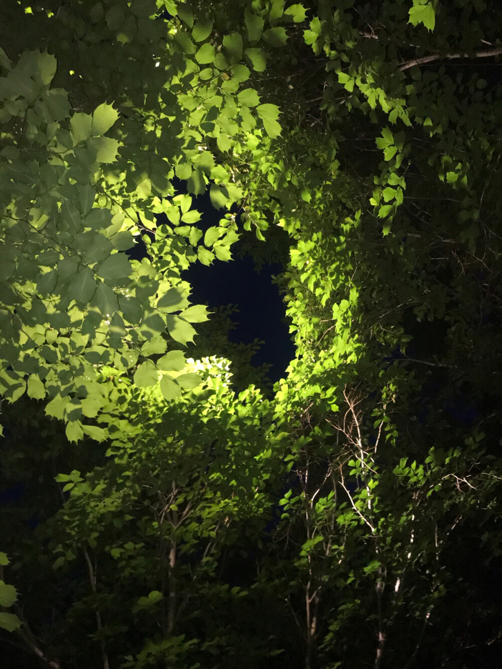 加班夜的抬头发现