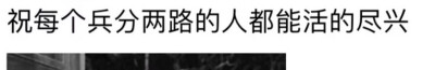 自爱
沉稳
而后爱人