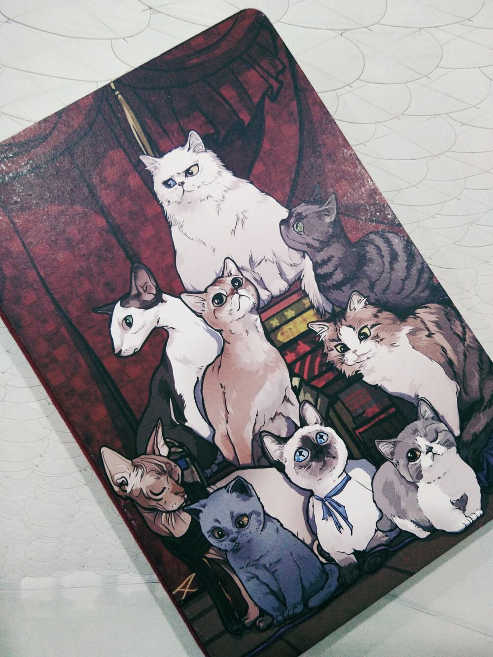 有拙猫星人手帐毛茸茸来袭——助你在云吸猫/铲屎的大道上一路狂奔~