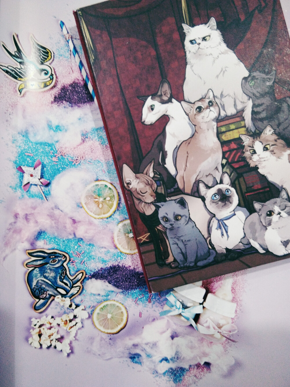 有拙猫星人手帐毛茸茸来袭——助你在云吸猫/铲屎的大道上一路狂奔~