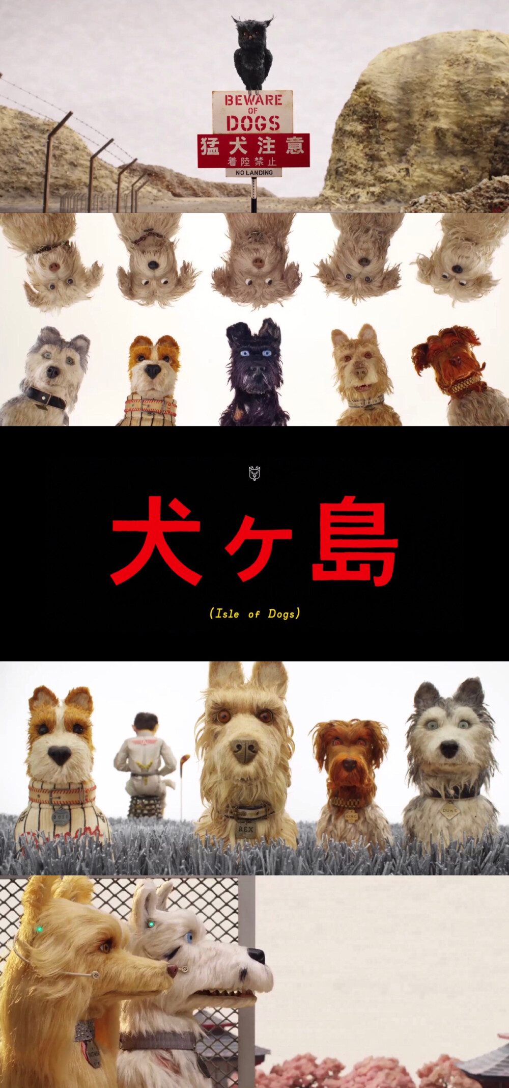 《犬之岛》