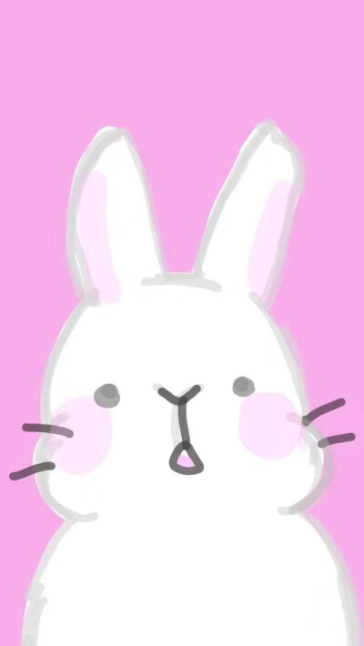 兔子壁纸