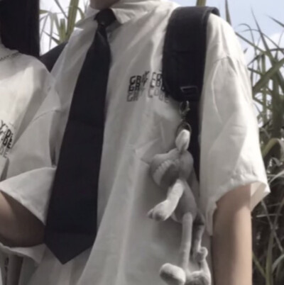 二传注明堆糖野璎