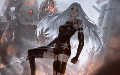 A2