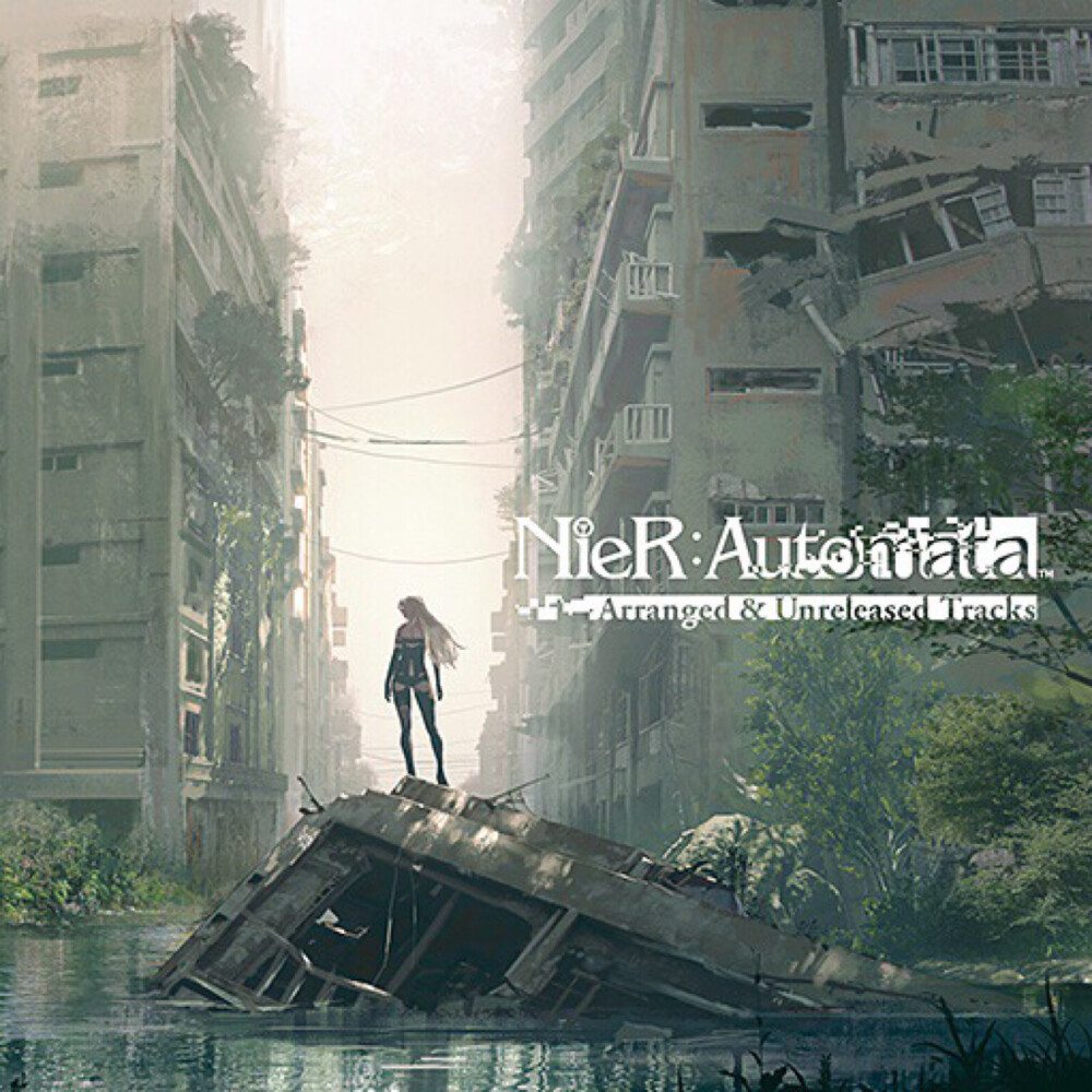 Nier-Automata