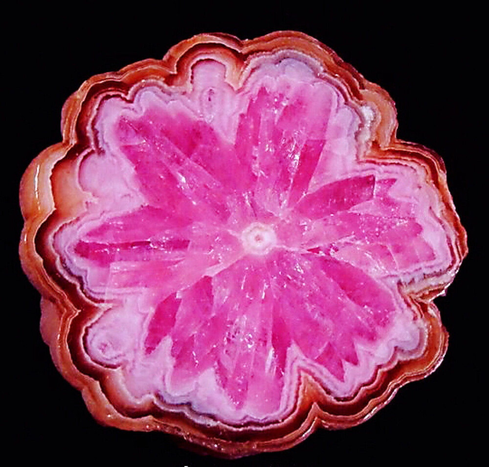 过个情人节什么的，可以送一朵 菱锰矿 Rhodochrosite 小花片 ​​​