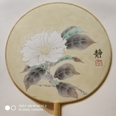 茶花，国画工笔小团扇完成。染了个复古底色，满满复古小清新风，陆续更新中。。。清凉夏季送小伙伴的礼物。